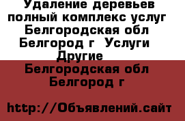 Удаление деревьев полный комплекс услуг - Белгородская обл., Белгород г. Услуги » Другие   . Белгородская обл.,Белгород г.
